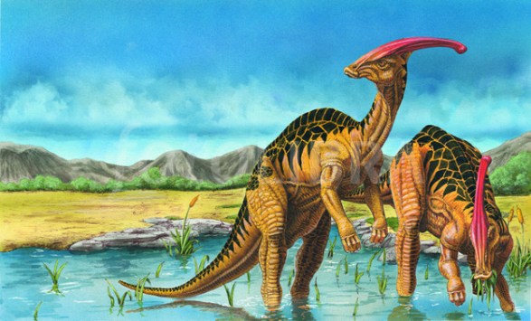 PARASAUROLOPHUS SCENE-ILLUSTRATION